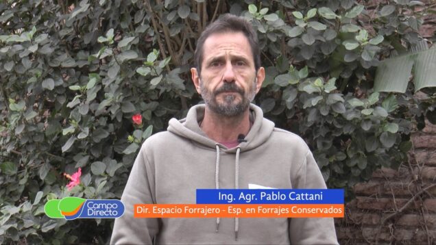 Campo Directo | Micotoxinas, un enemigo silencioso a combatir