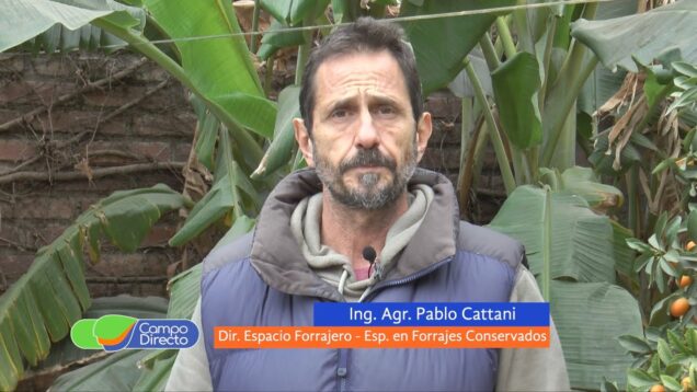 Campo Directo | Silajes Invernales, a prestar atención en el proceso