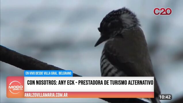 Modo Directo | En Vivo desde Villa General Belgrano