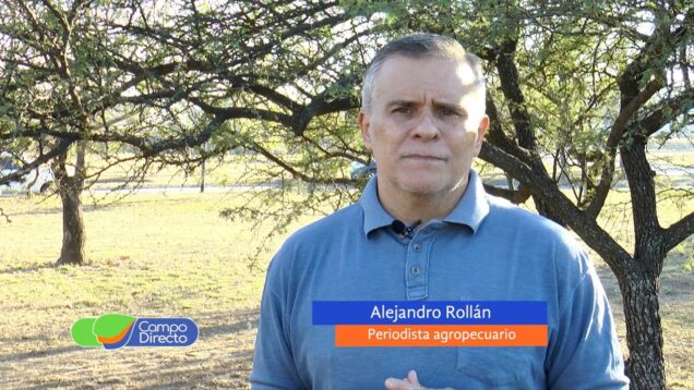 Campo Directo | El dólar maíz le pega a la producción de carne, leche y bioetanol