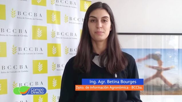 Campo Directo | Informe metereológico – Ing. Agr. Betina Bourges
