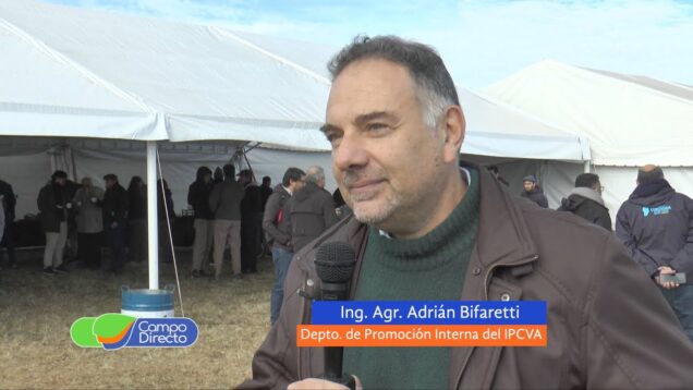 Campo Directo | Retos y oportunidades del mercado de la carne argentina
