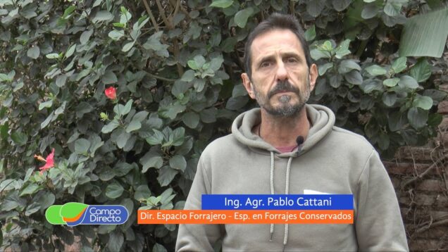 Campo Directo | Tiempo de mezcla con los silos de la campaña pasada – Ing. Pablo Cattani
