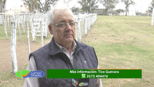 Campo Directo | Estrategias para el servicio de hotelería ganadera