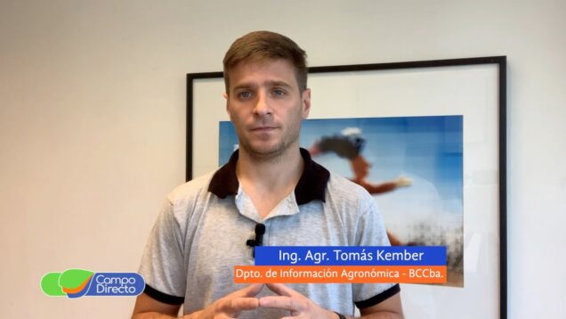 Campo Directo | Pronóstico del Tiempo – Tomás Kember