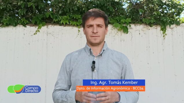 Campo Directo | Las lluvias podrían llegar este fin de semana