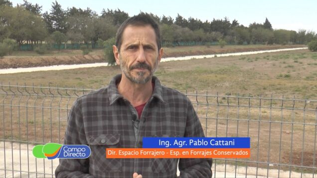 Campo Directo | Nos preparamos para henificar en la próxima campaña
