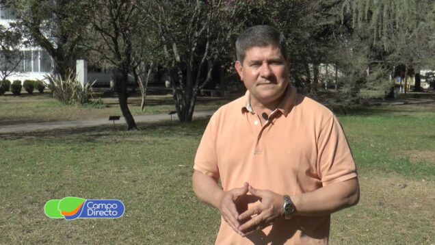 Programa Campo Directo