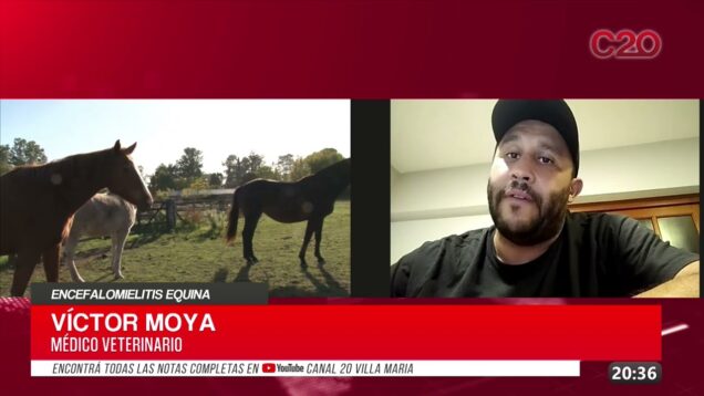 C20 Noticias | Encefalomielitis Equina – Victor Moya