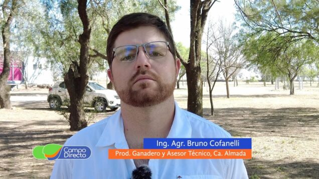 Campo Directo | Analizamos y comparamos diferentes métodos de conservar energía