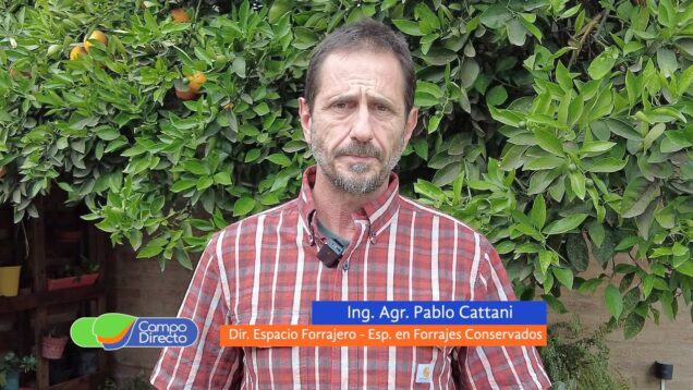 Campo Directo | Cuantificamos las pérdidas para mejorar eficiencia