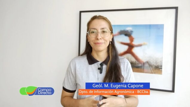 Campo Directo | Las lluvias en el sur provincial favorecieron el avance de la siembra de cultivos estivales