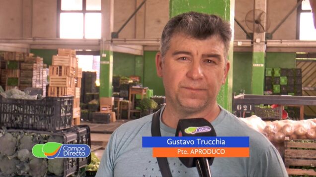 Campo Directo | Productores hortícolas cordobeses comprometidos con la calidad