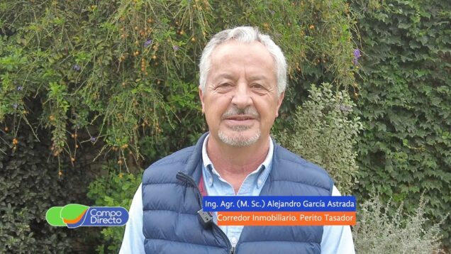 Campo Directo | Comportamiento dispar del mercado inmobiliario rural