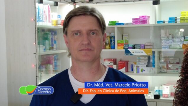 Campo Directo | Especialización en Clínica de Pequeños Animales – UCC