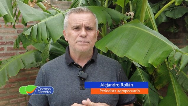 Campo Directo | Impacto de las medidas del nuevo gobierno para el agro