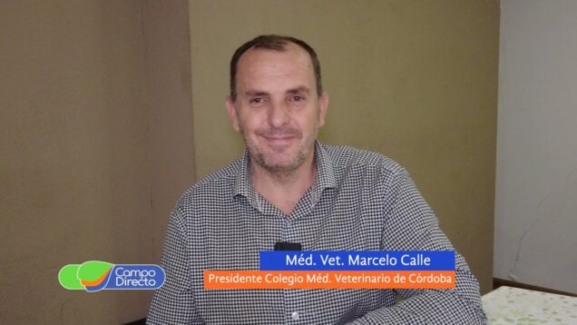 Campo Directo | Lo que hay que saber sobre encefalomielitis equina