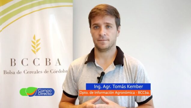 Campo Directo | Los avances de cosecha en córdoba son récord en 9 años