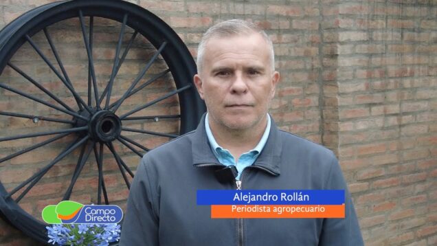 Campo Directo | Mejora el escenario agrícola en Córdoba