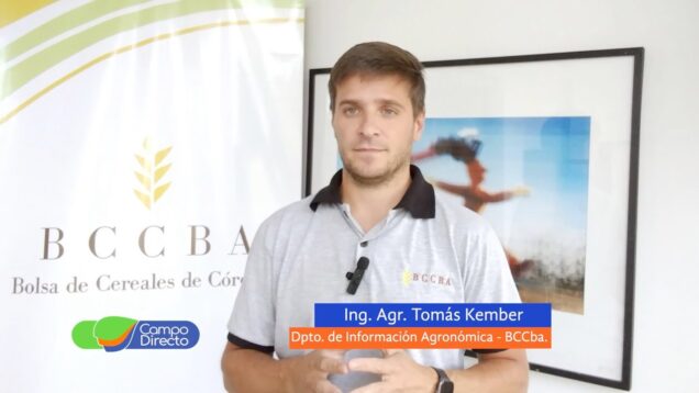 Campo Directo | Por las últimas precipitaciones mejoró el porcentaje de siembra tardía en Córdoba