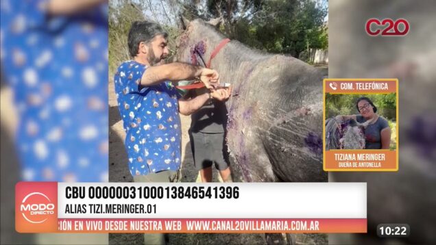 Modo Directo | Tiziana Meringer