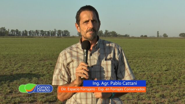 Campo Directo | Apertura anticipada de los silos confeccionados