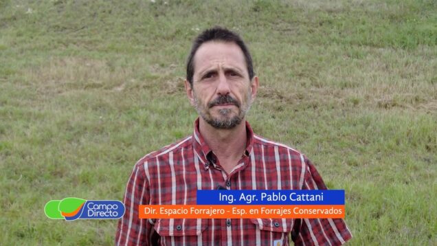 Campo Directo | Espacio Forrajero – Ing. Agro. Pablo Cattani