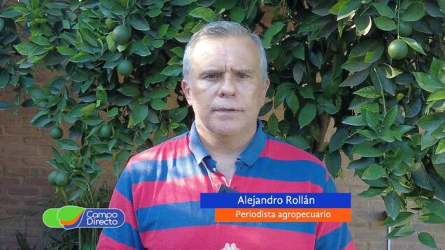 Campo Directo | La carne tiene un capítulo dentro del mega DNU enviado al Congreso