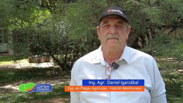 Campo Directo | Alarma de plagas para el final de febrero – Daniel Igarzábal