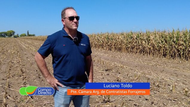 Campo Directo | El costo del silaje termina favoreciendo al productor