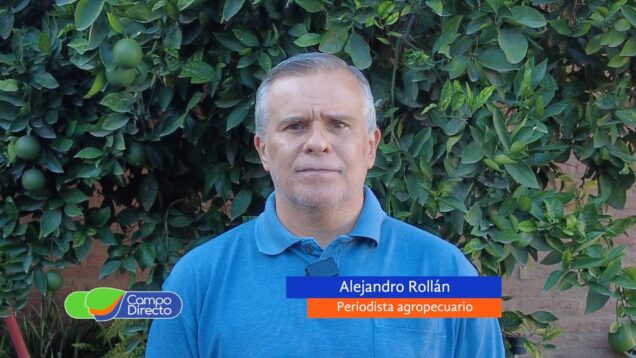 Campo Directo | ¿El precio de la hacienda le ganó a la inflación?