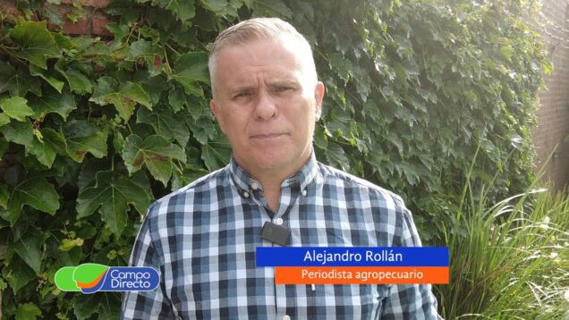 Campo Directo | Maquinaria Agrícola – Alejandro Rollán