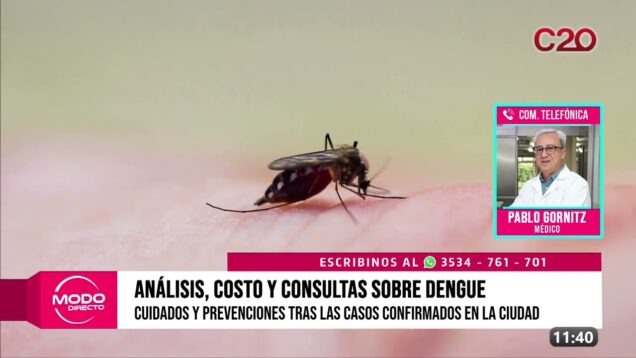 Modo Directo | Análisis, costos y consulta sobre dengue – Pablo Gornitz