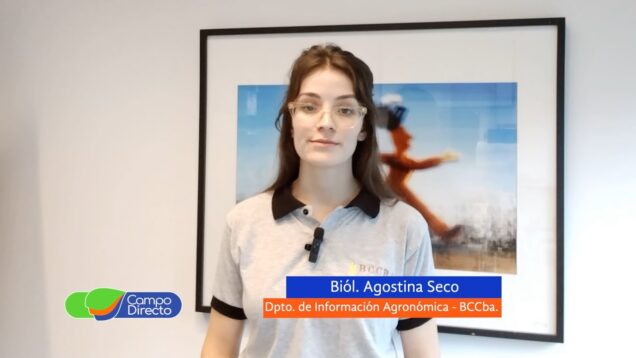 Campo Directo | Análisis Agrometeorológico de la BCCBA 22 03 2024