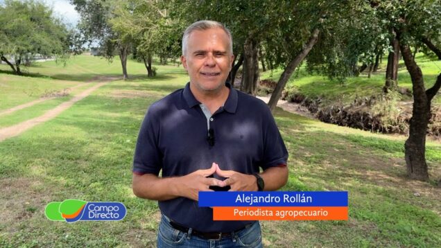 Campo Directo | La baja de precios impacta en la rentabilidad de la nueva cosecha