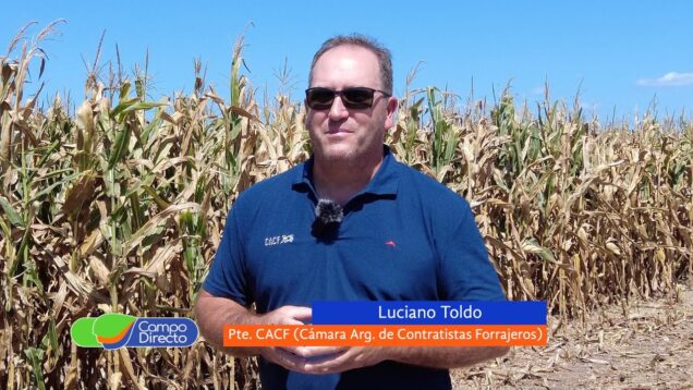 Campo Directo | La CACF dirá presente en Expoagro un año más – Luciano Toldo