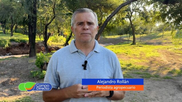 Campo Directo | Por quinto año consecutivo, el cerdo lideró la faena en Córdoba – Alejandro Rollán