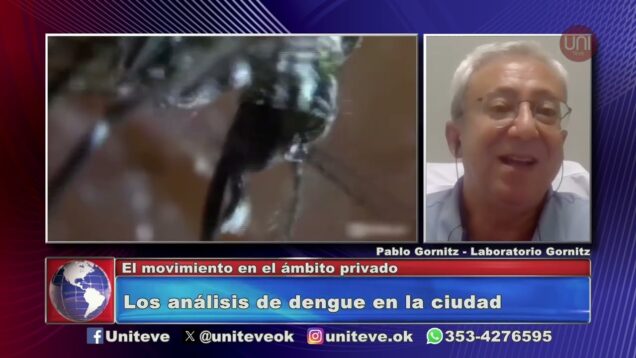 Uniteve Noticias | Alerta Dengue – Pablo Gornitz