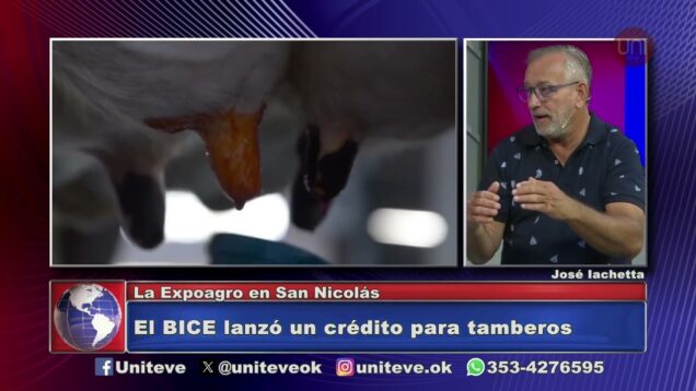 Uniteve Noticias | Expoagro – José Iachetta