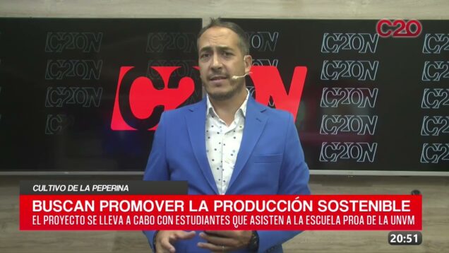 20 Noticias | Cultivo de peperina – Laura Caset
