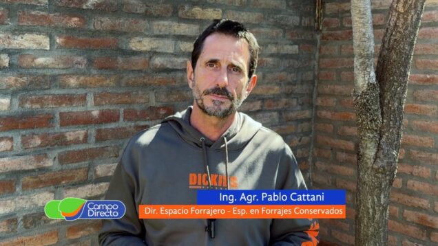 Campo Directo | Alfalfa: Una siembra para 4 campañas