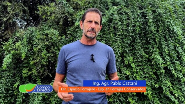 Campo Directo | Corrección de factores nutricionales a través del silaje