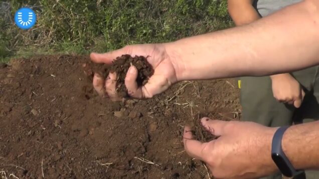 Uniteve Noticias | Producción de compost a partir de desechos vegetales y enmiendas orgánica