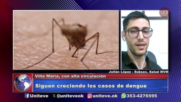 Uniteve Noticias | Siguen creciendo los casos de dengue