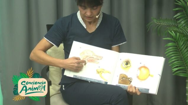 C20 Noticias | Conciencia Animal – Dra. Romina Predovan