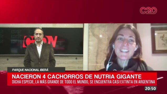 C20 Noticias | Parque Nacional Iberá – Magalí Longo