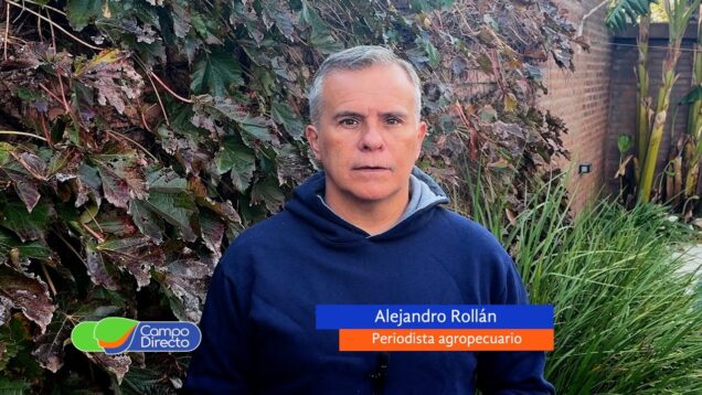 Campo Directo | El precio de la hacienda perderá contra la inflación