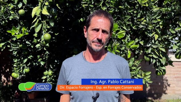 Campo Directo | La realidad nos obliga a ser más detallistas en la mezcla