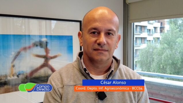 Campo Directo | Lo que la “chicharrita” nos dejó