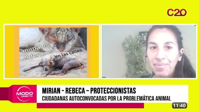 Modo Directo | Mirian Y Rebeca – Ciudadanas autoconvocadas por la problemática animal